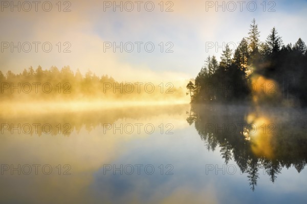 Backlit sunrise with wafts of mist over the mirror-smooth moorland lake Étang de la Gruère in the