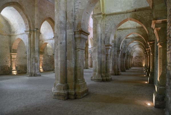 Nave of the Cistercian Abbey of Fontenay, Unesco World Heritage Site, Cote d'Or, Burgundy, France,