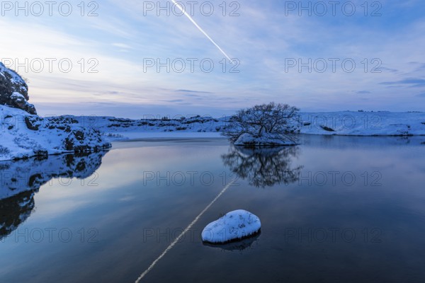 Snow-covered with bushes small island in Lake Myvatn, at blue hour, Kalfaströnd, Northern Iceland