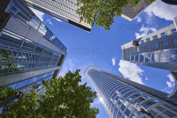 Kronenhochaus, Westend 1, headquarters of DZ Bank and other high-rise buildings from the frog's