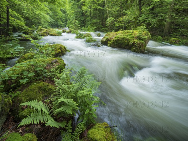 White water and rapids on the Trieb stream in the Triebtal nature reserve in Vogtland, Plauen,