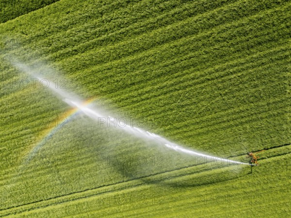 Artificial irrigation of a cereal field in April, with a sprinkler system, long dry spell in spring