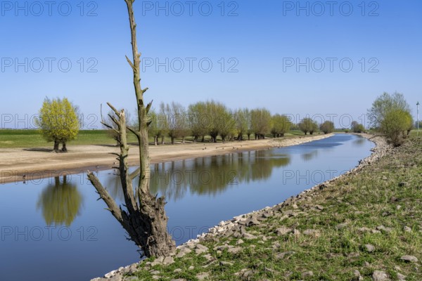 The Gierthausen oxbow lake near Schenkenschanz, Kleve, on the Lower Rhine, North Rhine-Westphalia,