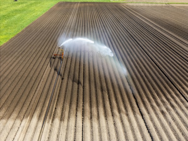 Artificial irrigation of a potato field in April, with a sprinkler system, long drought in spring