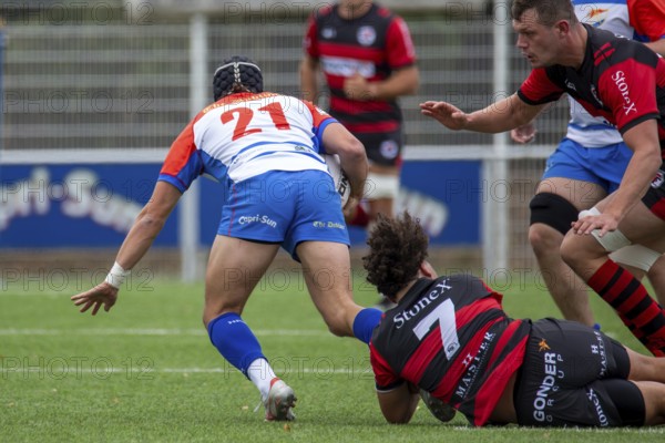 05.10..2024, Rugby 1st Bundesliga South/West, Season 2024/25, Matchday 4: Heidelberger Ruderklub