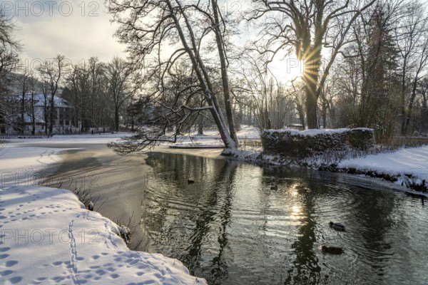 The snow-covered Gräflicher Park in Bad Driburg in winter, North Rhine-Westphalia, Germany, Europe
