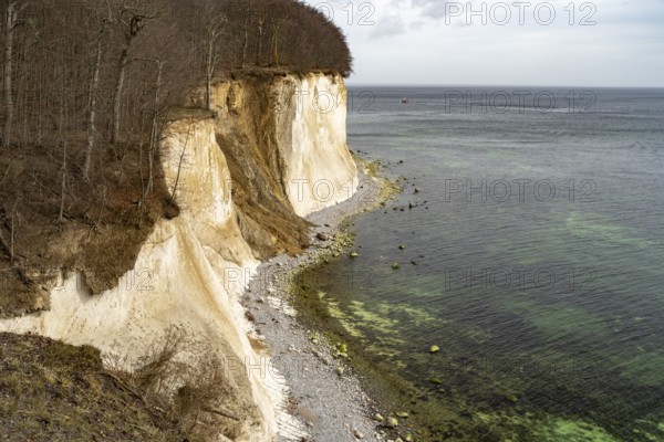 The famous chalk cliffs on the Baltic Sea coast in Jasmund National Park, Ruegen Island,
