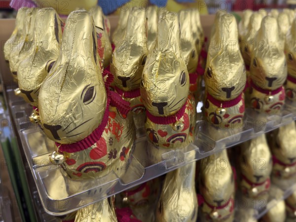 Display on retail shelf of wholesale chocolate Easter bunnies chocolate Easter bunnies chocolate