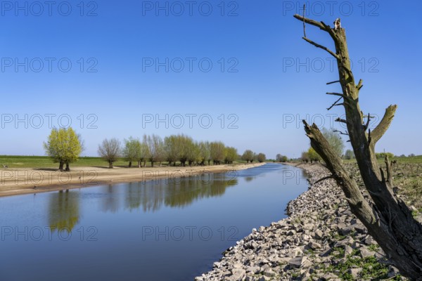 The Gierthausen oxbow lake near Schenkenschanz, Kleve, on the Lower Rhine, North Rhine-Westphalia,