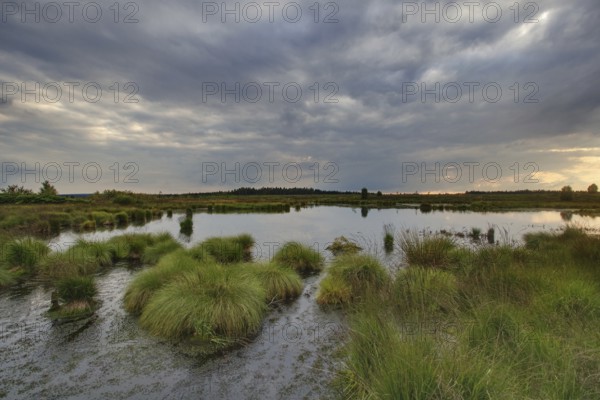 Panoramic view over the High Fens, Europe's largest raised bog shortly in front of sunset,