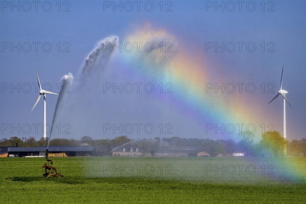 Artificial irrigation of a cereal field in April, with a sprinkler system, long dry spell in spring