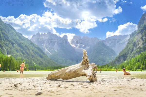 Tourists swimming in the stunning lago di landro, with the majestic dolomites rising in the