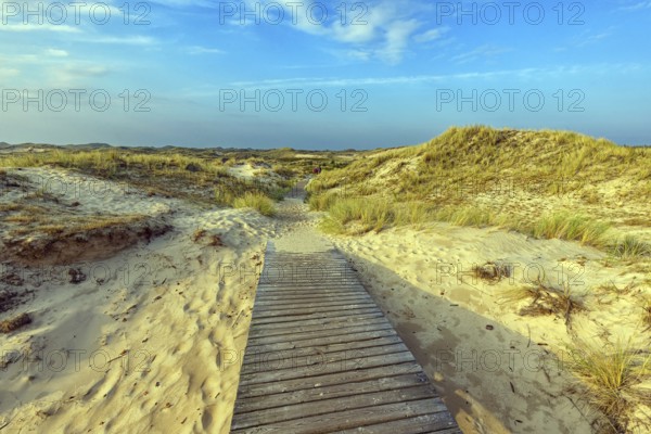 Amrum Island, landscape Germany, dune, dunes, grass, structure, form, vegetation, bphlen, path,