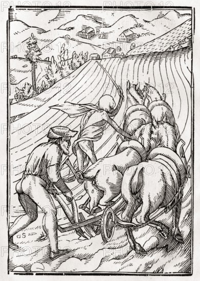 Der Tod kommt für den Bauern oder den Hausmann Woodcut by Georg Scharffenberg after Hans Holbein