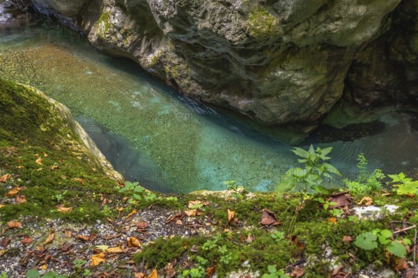 Clear turquoise water flows through the narrow tolmin gorges canyon, surrounded by moss covered