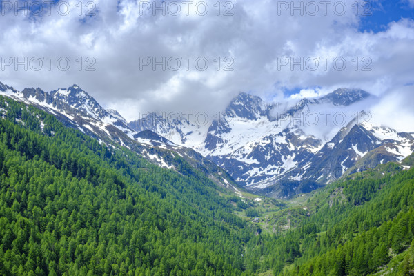Mountain scenery in the Passeier Valley above Rabenstein, moss in Passeier, South Tyrol, Italy,