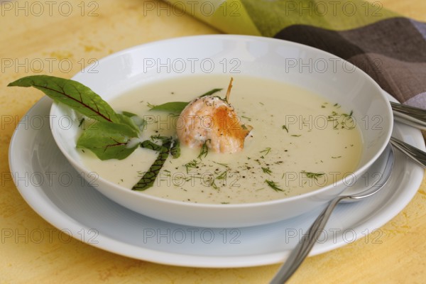 Southern German cuisine, sorrel soup with char, freshwater fish, soup arranged in a plate, herbs,