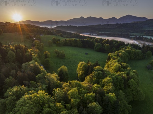 Aerial view, trees, forest, meadow, light green leaves, morning light, fog, mountains, sunny,