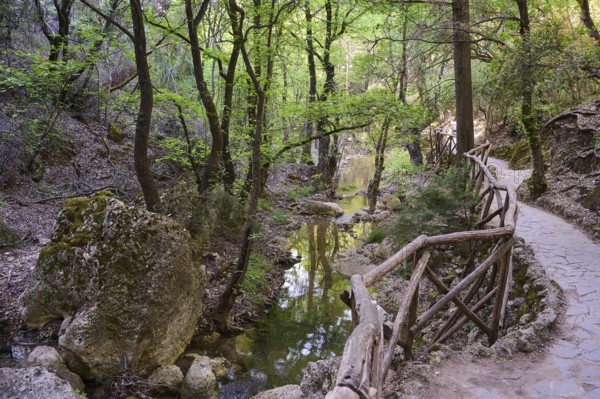 A forest path with railings leads along a small stream, Butterfly Valley, Butterfly Valley, Rhodes,