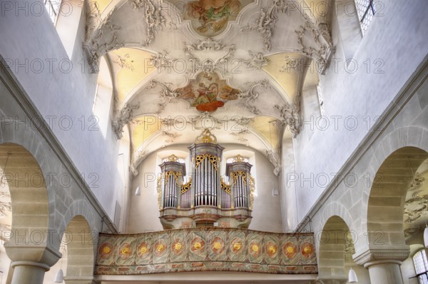 Interior view, gallery, organ, ceiling painting, ceiling fresco, collegiate church Sankt Peter und