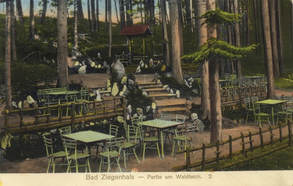 Historical postcard, picture postcard, Bad Ziegenhals in Silesia, today Glucholazy in Poland,