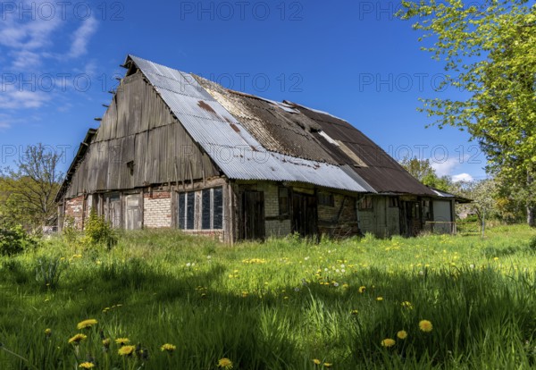 Abandoned and derelict farmhouses on undeveloped land in Rügen, Mecklenburg-Vorpommern, Germany,