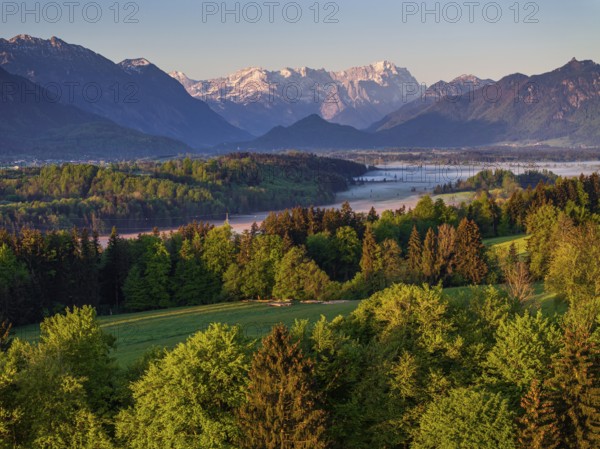 Aerial view, trees, forest, meadow, light green leaves, morning light, fog, mountains, sunny,