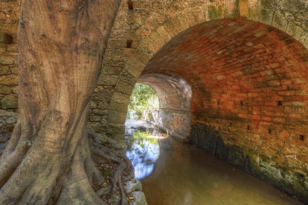 Stone tunnel with large tree next to it, quiet watercourse, Rodini Park, municipal park, Rhodes