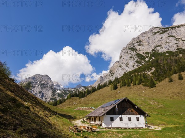 Halsalm, above the Reiteralpe, Ramsau bei Berchtesgaden, Berchtesgadener Land, Upper Bavaria,