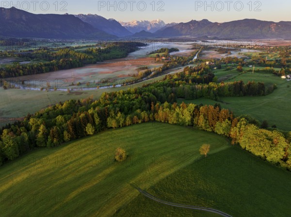 Aerial view, trees, forest, meadow, light green leaves, morning light, fog, mountains, sunny,