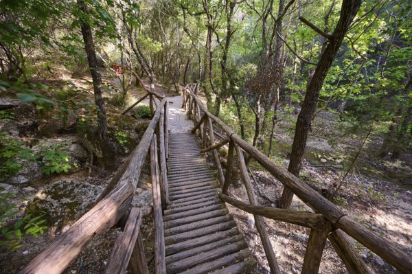 Wooden bridge leads through a quiet, wooded path, Butterfly Valley, Butterfly Valley, Rhodes,