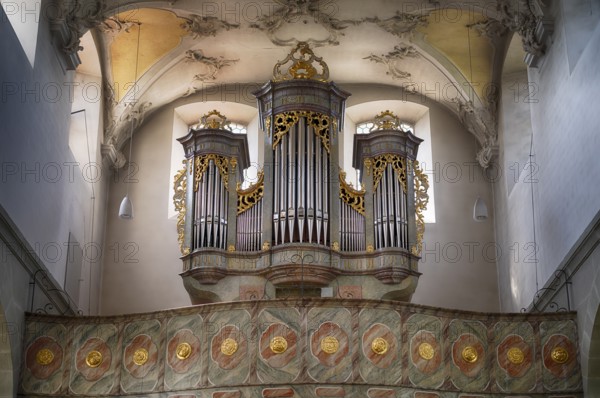 Interior view, gallery, organ, ceiling painting, ceiling fresco, collegiate church Sankt Peter und