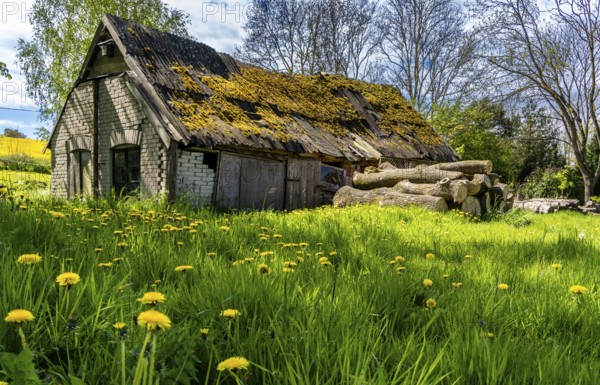 Abandoned and derelict farmhouses on undeveloped land in Rügen, Mecklenburg-Vorpommern, Germany,
