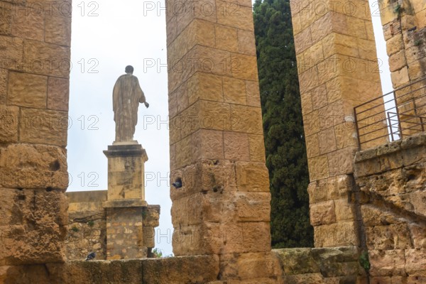 Ancient roman ruins with a statue and cypress tree in tarragona, spain, showcasing historical