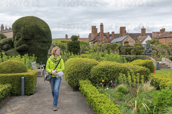 Visitor, garden, Shakespeare's New Place, where his house stood until 1759, Stratford-upon-Avon,