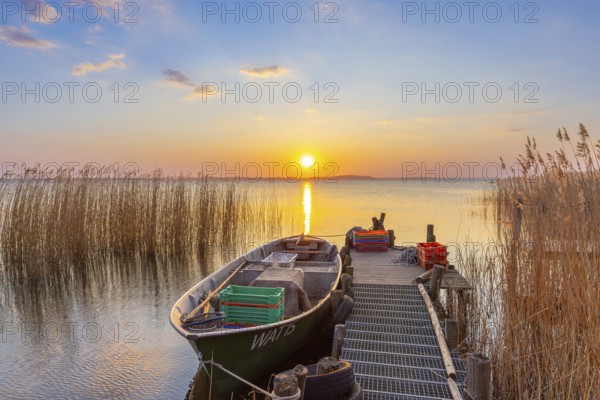 Fishing boat, rowboat along reed bed at sunset near Warthe, Rankwitz at the Lieper Winkel on the