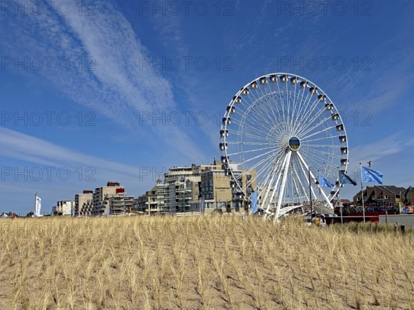 Ferris wheel next to modern buildings on the beach under a clear blue sky with clouds, Noordwijk,