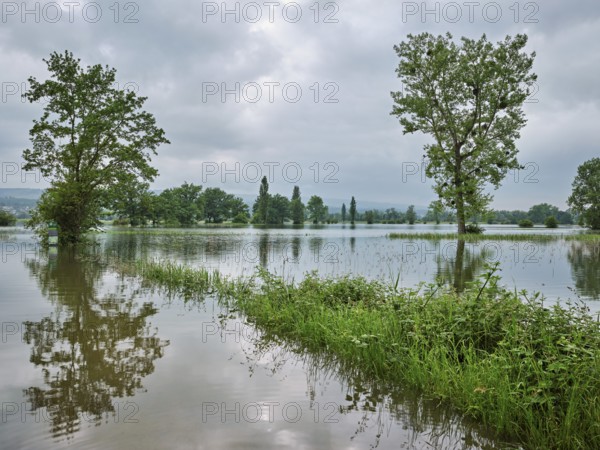 Trees standing in the flooded river Lorze, floodplain landscape, Reussspitz nature reserve,