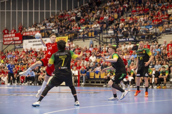 2nd HBL (Handball Bundesliga), Matchday 30: Eulen Ludwigshafen against VfL Eintracht