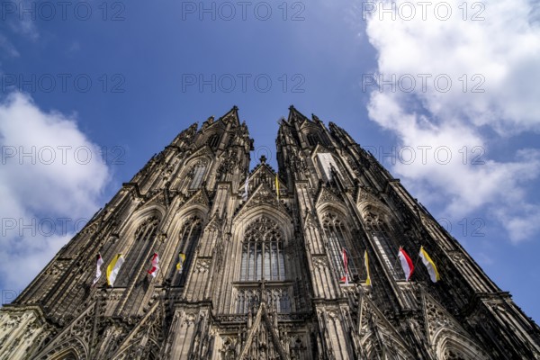 Cologne Cathedral, view of the west façade, on the north tower one of the rare occasions almost