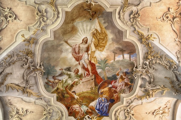 Interior view, ceiling painting, ceiling fresco, collegiate church Sankt Peter und Paul,