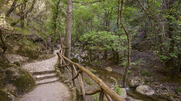 Nature trail with railings leading through a tranquil forest, Butterfly Valley, Butterfly Valley,
