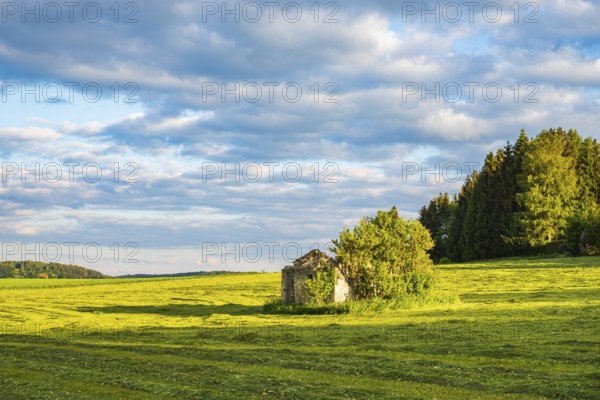 Dilapidated ruin of a stone hut on a freshly mown meadow in the evening light, Swabian Alb,