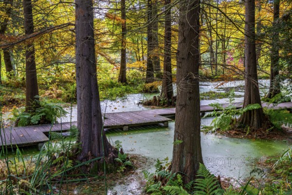 The Botanical Garden of the Ruhr University Bochum, in the district of Bochum-Querenburg, North