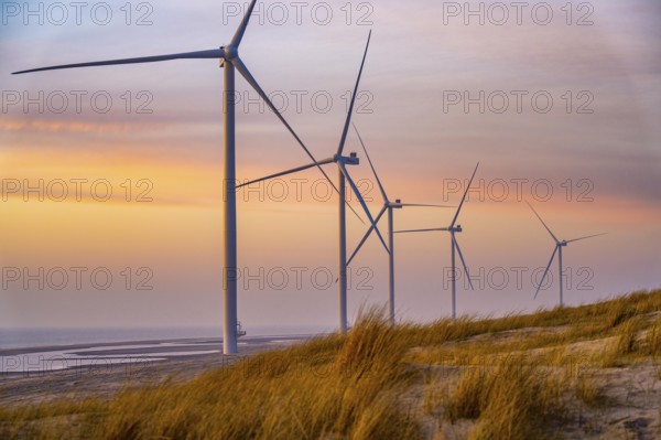 ENECO wind farm on the dike around the harbour Maasvlakte 2, 22 wind turbines with a capacity of