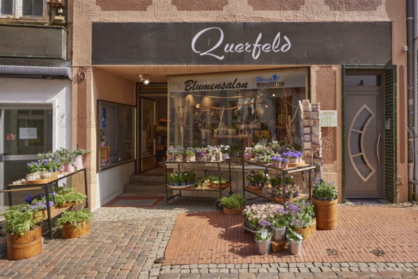 Flower shop Querfeld in the pedestrian zone in Stade, Hanseatic city, district of Stade, Lower