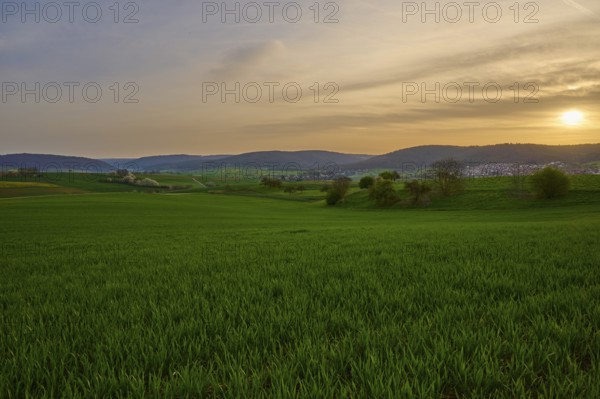 Green meadow in hilly landscape at sunrise with soft clouds in the sky, Mönchberg, Mltenberg,