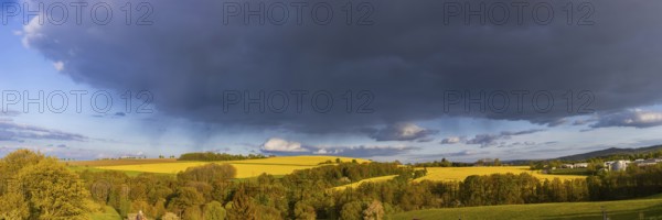 Spring landscape on the Alte Poststraße with blossoming rape fields in the Osterzgebirge, Rippien,