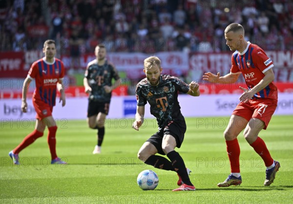 One-on-one, action Konrad Laimer FC Bayern Munich FCB (27) against Adrian Beck 1. FC Heidenheim
