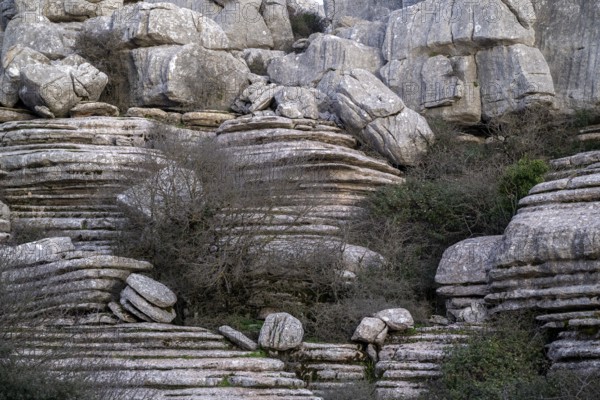 Bizarre limestone rock formations, El Torcal nature reserve, Torcal de Antequera, Malaga province,